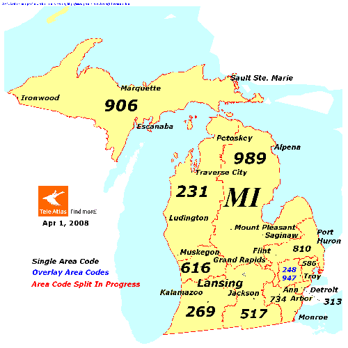 Michigan area codes map